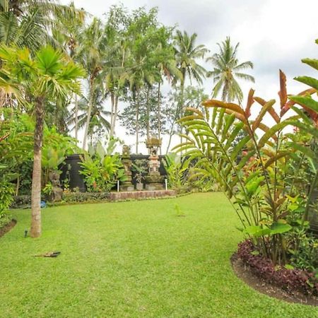 Luxury 3Br Infinity Jungle View Aashaya Villa Ubud Kültér fotó