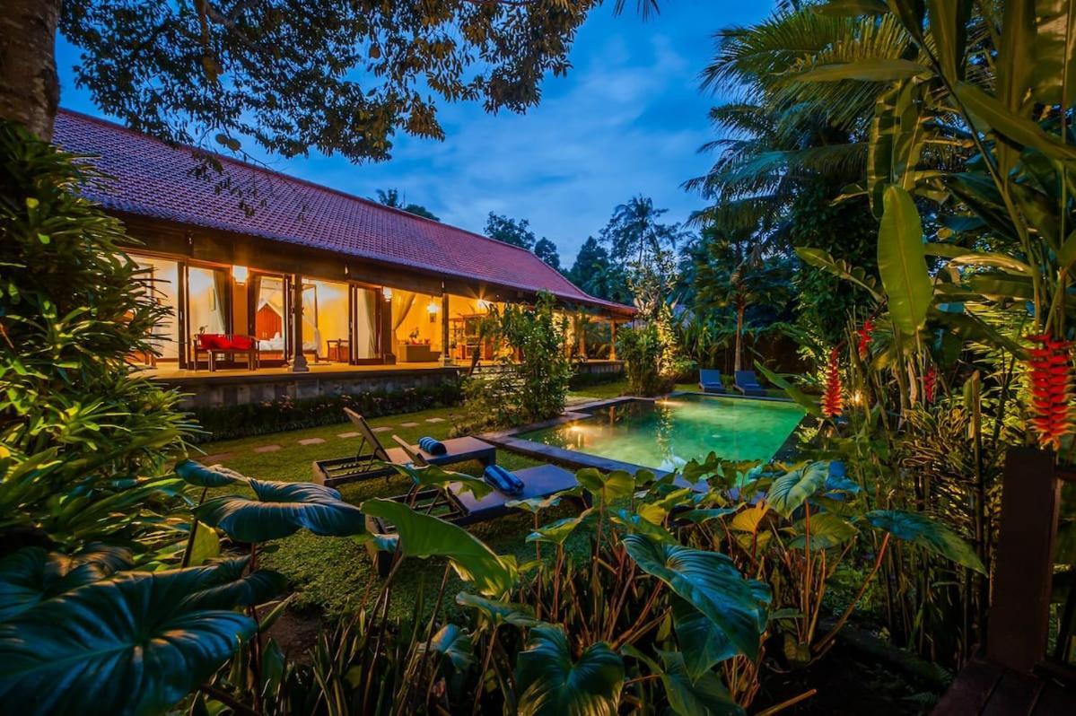 Luxury 3Br Infinity Jungle View Aashaya Villa Ubud Kültér fotó