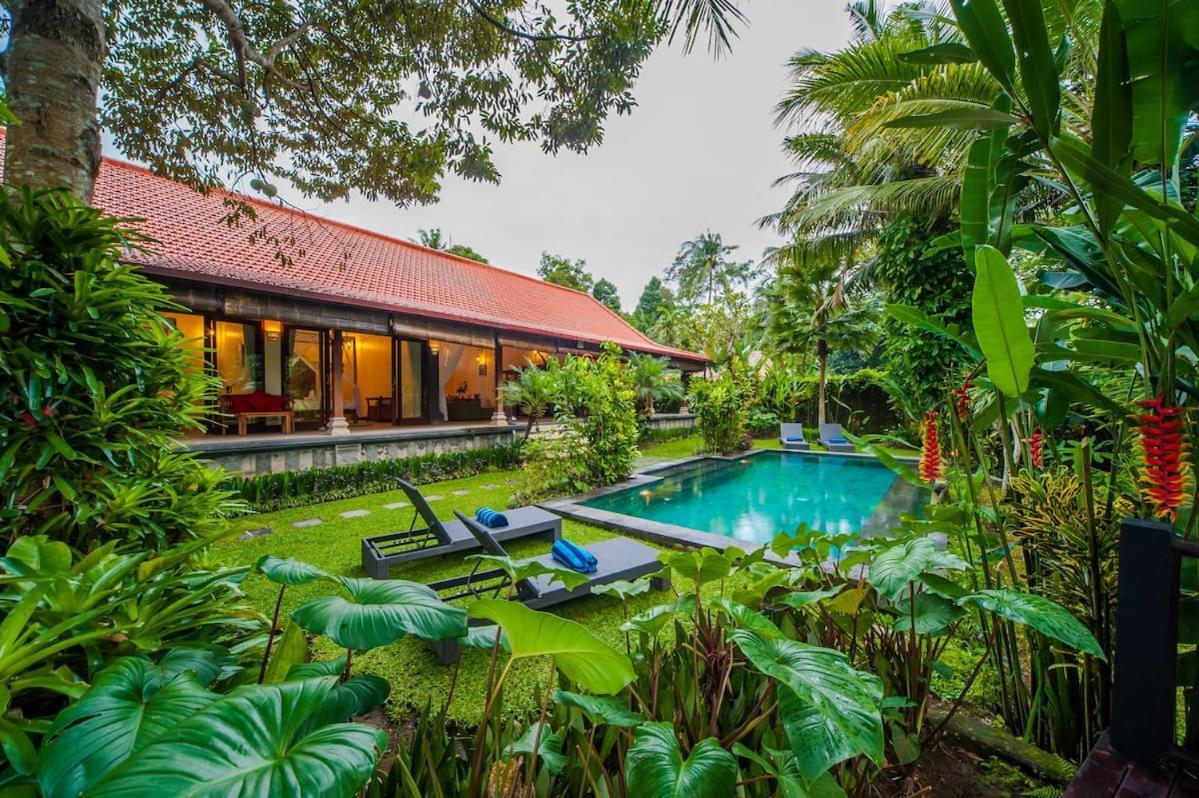 Luxury 3Br Infinity Jungle View Aashaya Villa Ubud Kültér fotó