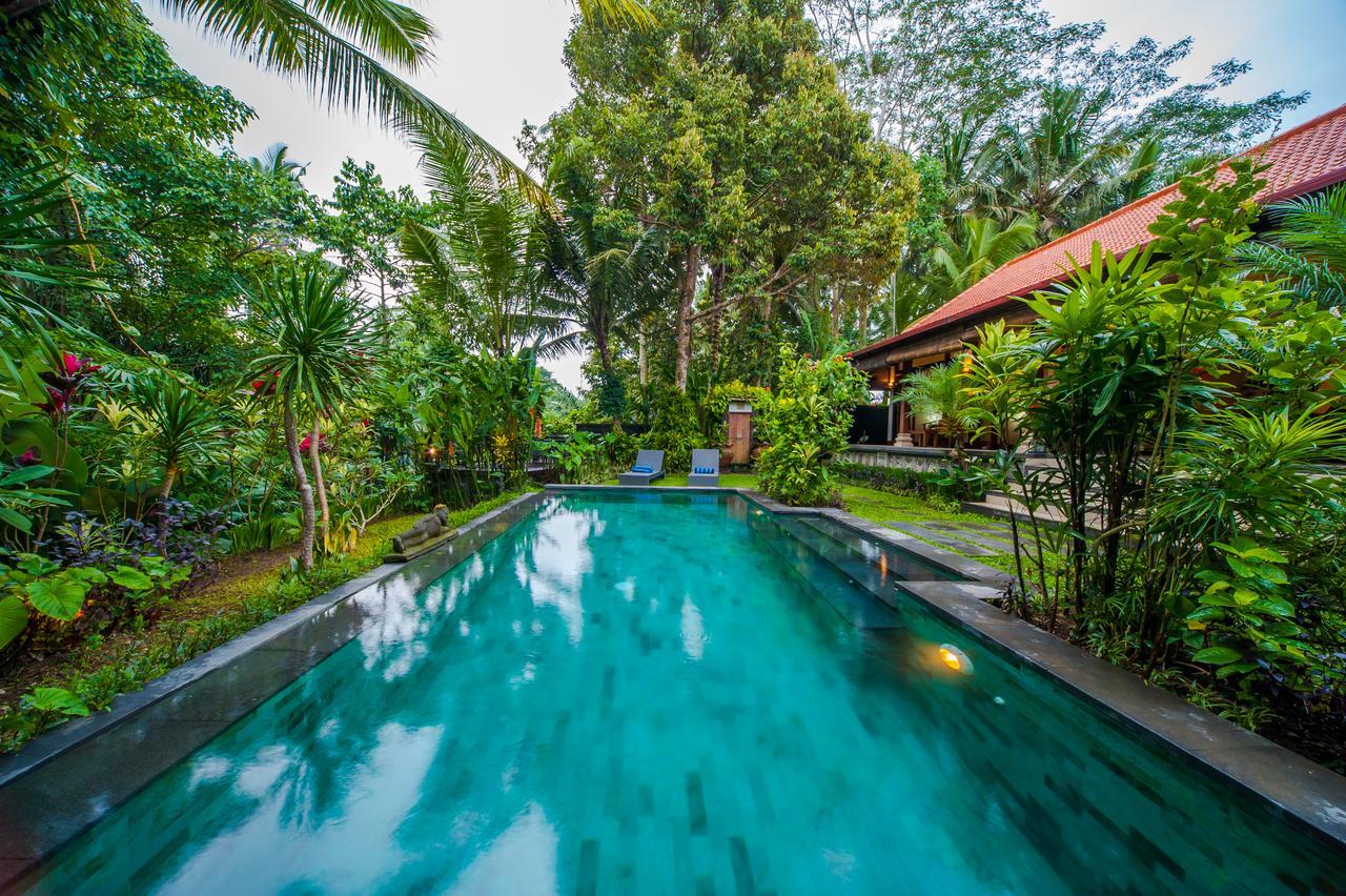 Luxury 3Br Infinity Jungle View Aashaya Villa Ubud Kültér fotó